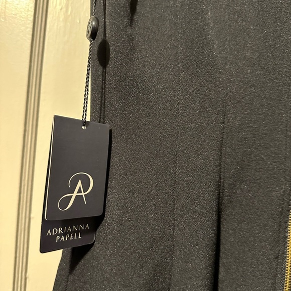 ADRIANNA PAPELL Teal and Black Midi Dress NWT - Picture 4 of 8